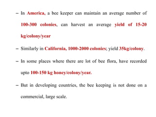 – In America, a bee keeper can maintain an average number of
100-300 colonies, can harvest an average yield of 15-20
kg/colony/year
– Similarly in California, 1000-2000 colonies; yield 35kg/colony.
– In some places where there are lot of bee flora, have recorded
upto 100-150 kg honey/colony/year.
– But in developing countries, the bee keeping is not done on a
commercial, large scale.
 