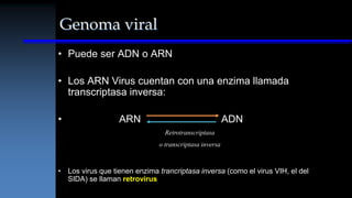 Retrotranscriptasa Inversa 1. Los Virus MicroAplicada.ppt