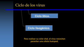 Ciclo de los virus
Ciclo lítico.
Ciclo lisogénico.
Para realizar su ciclo vital, el virus necesitan
parasitar una célula huésped.
 