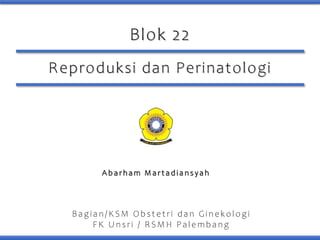 Reproduksi dan Perinatologi
Bagian/ KSM Obstetri dan G inekologi
FK Unsri / R SMH Pale mbang
Blok 22
A b a r h a m M a r t a d i a n s y a h
 
