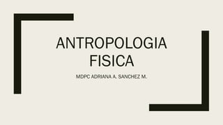 ANTROPOLOGIA
FISICA
MDPC ADRIANA A. SANCHEZ M.
 