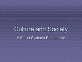 Culture and Society
A Social Systems Perspective
 