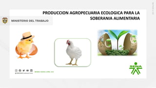 PRODUCCION AGROPECUARIA ECOLOGICA PARA LA
SOBERANIA ALIMENTARIA
 