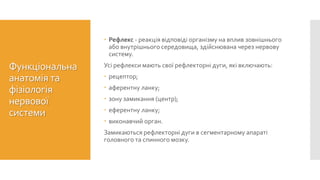 Функціональна
анатомія та
фізіологія
нервової
системи
 Рефлекс - реакція відповіді організму на вплив зовнішнього
або внутрішнього середовища, здійснювана через нервову
систему.
Усі рефлекси мають свої рефлекторні дуги, які включають:
 рецептор;
 аферентну ланку;
 зону замикання (центр);
 еферентну ланку;
 виконавчий орган.
Замикаються рефлекторні дуги в сегментарному апараті
головного та спинного мозку.
 