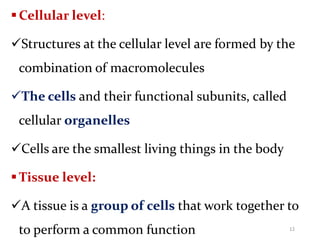 1. Introduction to Human Anatomy.pptx
