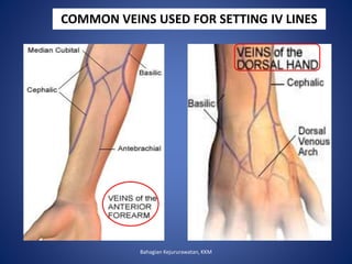 COMMON VEINS USED FOR SETTING IV LINES
Bahagian Kejururawatan, KKM
 