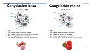 Congelación lenta
✓ ↓ $
✓ Los cristales que se forman son grandes.
✓ Los cristales grandes dañan/rompen la pared celular
✓ Cambios organolépticos en el producto
✓ Los cristales ya no crecen durante la conservación.
Congelación rápida
-17 a -18 °C / 24 h -35 °C / 4 h
✓ ↑ $
✓ Los cristales que se forman son pequeños
✓ Los cristales no dañan la pared celular
✓ Los cambios organolépticos son mínimos
✓ Los cristales siguen creciendo durante la conservación.
16
 