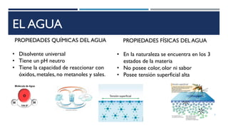 EL AGUA
PROPIEDADES QUÍMICAS DEL AGUA
• Disolvente universal
• Tiene un pH neutro
• Tiene la capacidad de reaccionar con
óxidos, metales, no metanoles y sales.
PROPIEDADES FÍSICAS DEL AGUA
• En la naturaleza se encuentra en los 3
estados de la materia
• No posee color, olor ni sabor
• Posee tensión superficial alta
3
 