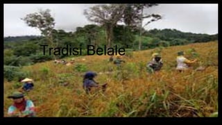 Tradisi “Balale”
Sumber gambar :
https://news.detik.com/berita/d-5295507/belale-tradisi-gotong-royong-petani-di-plbn-aruk-
saat-tanam-padi
Tradisi Belale’
sumber : www. google.com
 