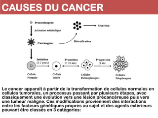 CAUSES DU CANCER
Le cancer apparaît à partir de la transformation de cellules normales en
cellules tumorales, un processus passant par plusieurs étapes, avec
classiquement une évolution vers une lésion précancéreuse puis vers
une tumeur maligne. Ces modifications proviennent des interactions
entre les facteurs génétiques propres au sujet et des agents extérieurs
pouvant être classés en 3 catégories:
 