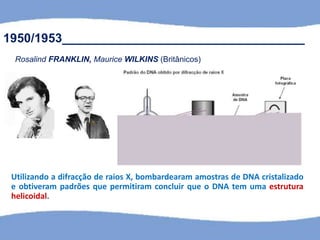 Utilizando a difracção de raios X, bombardearam amostras de DNA cristalizado
e obtiveram padrões que permitiram concluir que o DNA tem uma estrutura
helicoidal.
1950/1953___________________________________
Rosalind FRANKLIN, Maurice WILKINS (Britânicos)
 