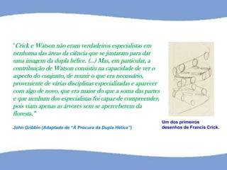“Crick e Watson não eram verdadeiros especialistas em
nenhuma das áreas da ciência que se juntaram para dar
uma imagem da dupla hélice. (…) Mas, em particular, a
contribuição de Watson consistiu na capacidade de ver o
aspecto do conjunto, de reunir o que era necessário,
proveniente de várias disciplinas especializadas e aparecer
com algo de novo, que era maior do que a soma das partes
e que nenhum dos especialistas foi capaz de compreender,
pois viam apenas as árvores sem se aperceberem da
floresta.”
John Gribbin (Adaptado de “À Procura da Dupla Hélice”)
Um dos primeiros
desenhos de Francis Crick.
 
