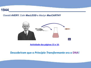 Actividade das páginas 15 e 16.
Descobriram que o Princípio Transformante era o DNA!
1944_______________________________________
Oswald AVERY, Colin MacLEOD e Maclyn MacCARTHY
 