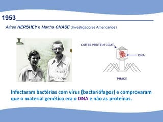 Infectaram bactérias com vírus (bacteriófagos) e comprovaram
que o material genético era o DNA e não as proteínas.
1953_______________________________________
Alfred HERSHEY e Martha CHASE (Investigadores Americanos)
 