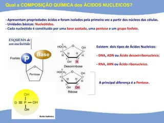 - Apresentam propriedades ácidas e foram isolados pela primeira vez a partir dos núcleos das células.
- Unidades básicas: Nucleótidos.
- Cada nucleótido é constituído por uma base azotada, uma pentose e um grupo fosfato.
Existem dois tipos de Ácidos Nucleicos:
- DNA, ADN ou Ácido desoxirribonucleico;
- RNA, ARN ou Ácido ribonucleico.
A principal diferença é a Pentose.
Qual a COMPOSIÇÃO QUÍMICA dos ÁCIDOS NUCLEICOS?
 
