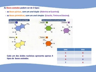 As Bases azotadas podem ser de 2 tipos:
- as Bases púricas, com um anel duplo (Adenina e Guanina);
- as Bases pirimídicas, com um anel simples (Uracilo, Timina e Citosina).
Cada um dos ácidos nucleicos apresenta apenas 4
tipos de bases azotadas:
DNA RNA
C G
G C
A U
T A
 