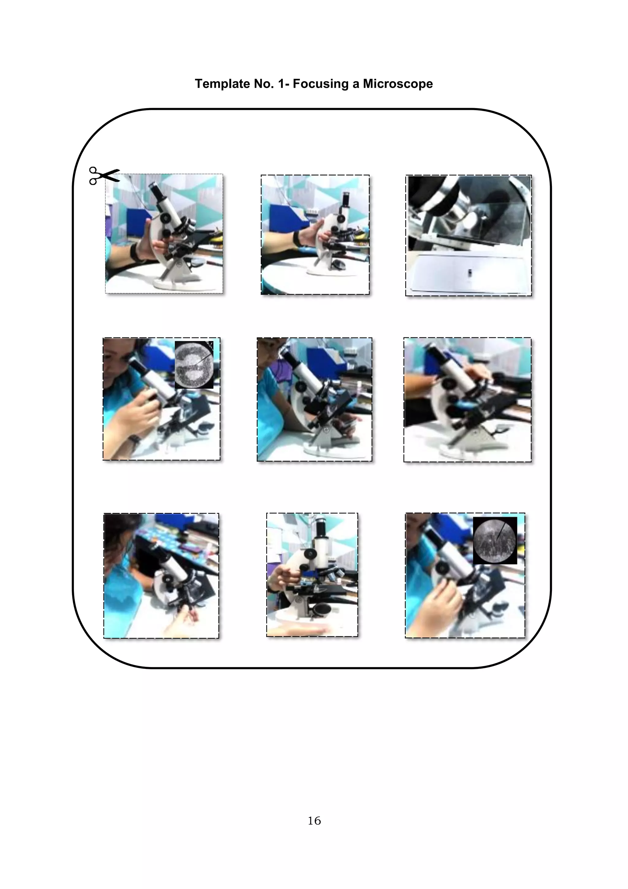 16
Template No. 1- Focusing a Microscope
 
