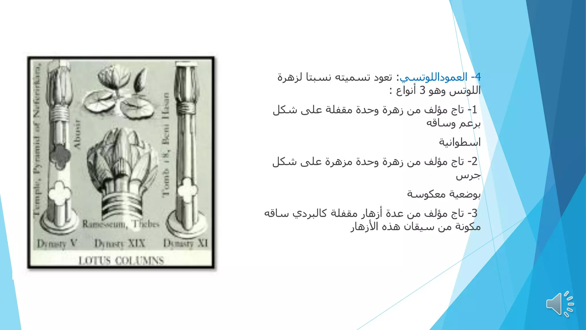 4
-
‫العموداللوتسي‬
:
‫لزهرة‬ ‫نسبتا‬ ‫تسميته‬ ‫تعود‬
‫وهو‬ ‫اللوتس‬
3
‫أنواع‬
:
1
-
‫وحدة‬ ‫زهرة‬ ‫من‬ ‫مؤلف‬ ‫تاج‬
‫مقفلة‬
‫على‬
‫شكل‬
‫وساقه‬ ‫برعم‬
‫اسطوانية‬
2
-
‫زهرة‬ ‫من‬ ‫مؤلف‬ ‫تاج‬
‫مزهرة‬ ‫وحدة‬
‫شكل‬ ‫على‬
‫جرس‬
‫بوضعية‬
‫معكوسة‬
3
-
‫أزهار‬ ‫عدة‬ ‫من‬ ‫مؤلف‬ ‫تاج‬
‫كالبردي‬ ‫مقفلة‬
‫ساقه‬
‫األزهار‬ ‫هذه‬ ‫سيقان‬ ‫من‬ ‫مكونة‬
 