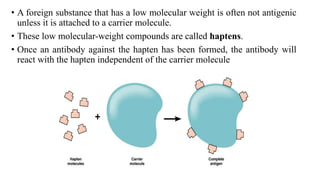 1. adaptive immunity (final).pptx