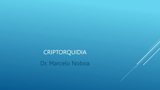 CRIPTORQUIDIA
Dr. Marcelo Noboa
 