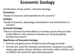 1. Basic concepts in Economic Zoology.pptx