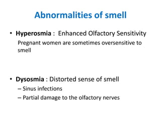 Abnormalities of smell
• Hyperosmia : Enhanced Olfactory Sensitivity
Pregnant women are sometimes oversensitive to
smell
• Dysosmia : Distorted sense of smell
– Sinus infections
– Partial damage to the olfactory nerves
 