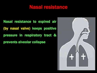 Anatomy  and Physiology of nose & PNS.ppt