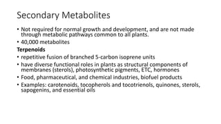 1. Biochemistry of Fruits and vegetables.pptx