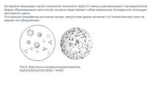 Осторожно смешивают капли стеклянной палочкой и через 2-3 минуты рассматривают под микроскопом
форму образовавшихся кристаллов, которые представляют собой правильные октаэдры или тетраэдры
желтоватого цвета.
Эта реакция специфична для ионов натрия, присутствие других катионов I и II аналитических групп не
мешает его обнаружению.
Рис.5. Кристаллы натрийцинкуранилацетата
NaZn(UO2)3(CH3COO)9 × 9H2O
 