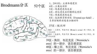 1. brain atlas.pdf