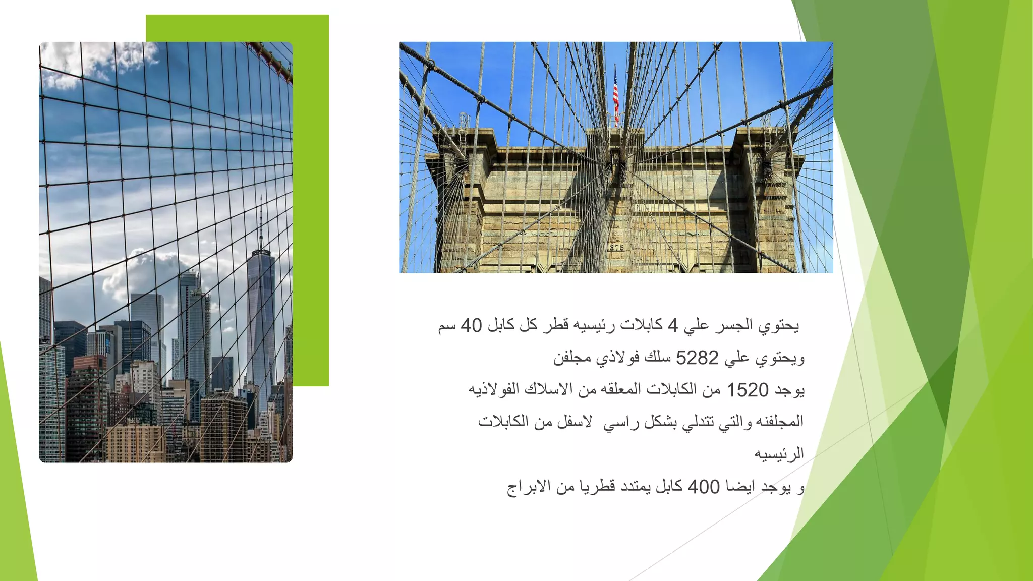 ‫علي‬ ‫الجسر‬ ‫يحتوي‬
4
‫كابل‬ ‫كل‬ ‫قطر‬ ‫رئيسيه‬ ‫كابالت‬
40
‫سم‬
‫علي‬ ‫ويحتوي‬
5282
‫مجلفن‬ ‫فوالذي‬ ‫سلك‬
‫يوجد‬
1520
‫الفوالذيه‬ ‫االسالك‬ ‫من‬ ‫المعلقه‬ ‫الكابالت‬ ‫من‬
‫الكابالت‬ ‫من‬ ‫السفل‬ ‫راسي‬ ‫بشكل‬ ‫تتدلي‬ ‫والتي‬ ‫المجلفنه‬
‫الرئيسيه‬
‫ايضا‬ ‫يوجد‬ ‫و‬
400
‫االبراج‬ ‫من‬ ‫قطريا‬ ‫يمتدد‬ ‫كابل‬
 