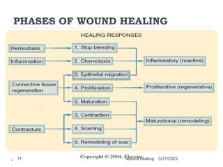 PHASES OF WOUND HEALING
3/31/2023
wound healing
11
 
