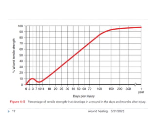 3/31/2023
wound healing
17
 