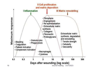 3/31/2023
wound healing
18
 