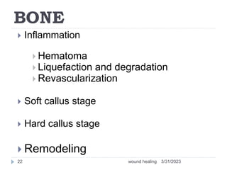 BONE
 Inflammation
 Hematoma
 Liquefaction and degradation
 Revascularization
 Soft callus stage
 Hard callus stage
 Remodeling
3/31/2023
wound healing
22
 