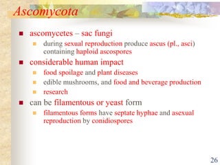 1.INTRODUCTION TO MYCOLOGY & CLASSIFICATION.ppt