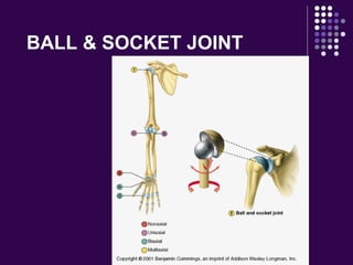 BALL & SOCKET JOINT
 