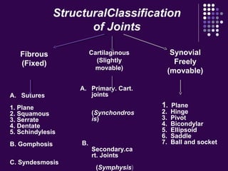 A. Sutures
1. Plane
2. Squamous
3. Serrate
4. Dentate
5. Schindylesis
B. Gomphosis
C. Syndesmosis
A. Primary. Cart.
joints
(Synchondros
is)
B.
Secondary.ca
rt. Joints
(Symphysis)
1. Plane
2. Hinge
3. Pivot
4. Bicondylar
5. Ellipsoid
6. Saddle
7. Ball and socket
Synovial
Freely
(movable)
Cartilaginous
(Slightly
movable)
Fibrous
(Fixed)
StructuralClassification
of Joints
 