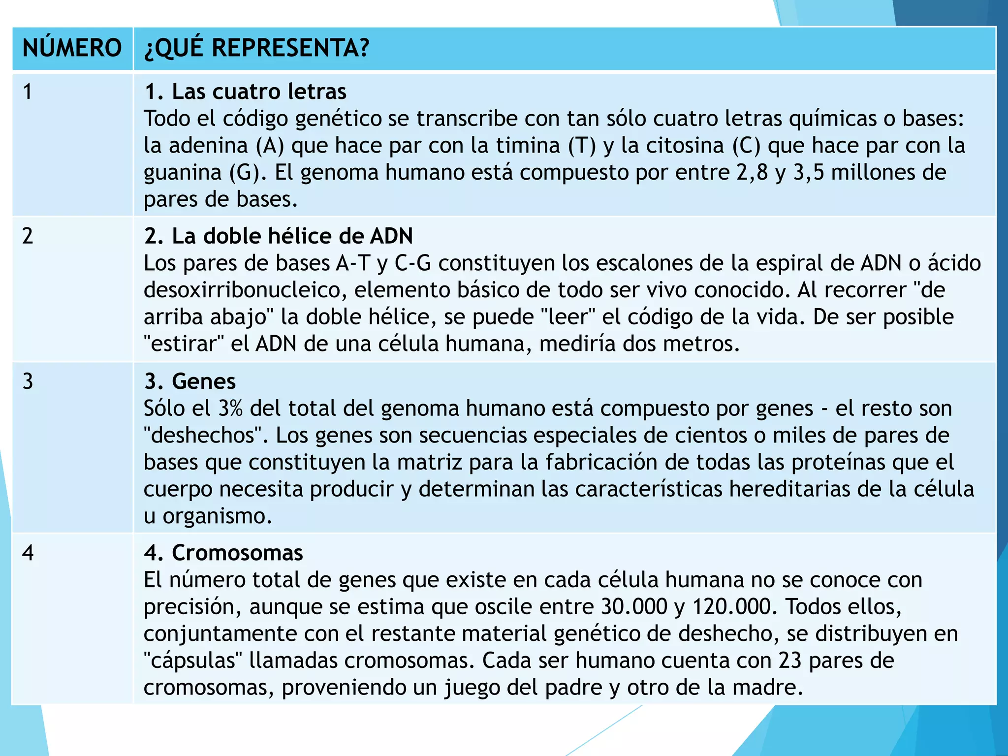 1. Estructura de la molécula de ADN.pdf