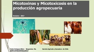Micotoxinas y Micotoxicosis en la
producción agropecuaria
Octubre - 2017
Servicio Agrícola y Ganadero de Chile
Pedro Enriquez Alfaro Bioquímico Ms.
pedro.enriquez@sag.gob.cl
 