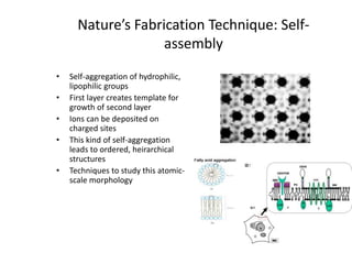 Nature’s Fabrication Technique: Self-
assembly
• Self-aggregation of hydrophilic,
lipophilic groups
• First layer creates template for
growth of second layer
• Ions can be deposited on
charged sites
• This kind of self-aggregation
leads to ordered, heirarchical
structures
• Techniques to study this atomic-
scale morphology
 