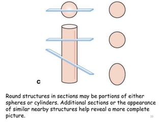 A Single Rounded Structure 1. Introduction to Histology.ppt