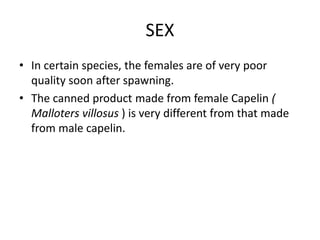 SEX
• In certain species, the females are of very poor
quality soon after spawning.
• The canned product made from female Capelin (
Malloters villosus ) is very different from that made
from male capelin.
 