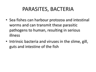 PARASITES, BACTERIA
• Sea fishes can harbour protozoa and intestinal
worms and can transmit these parasitic
pathogens to human, resulting in serious
illness
• Intrinsic bacteria and viruses in the slime, gill,
guts and intestine of the fish
 