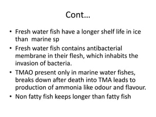 Cont…
• Fresh water fish have a longer shelf life in ice
than marine sp
• Fresh water fish contains antibacterial
membrane in their flesh, which inhabits the
invasion of bacteria.
• TMAO present only in marine water fishes,
breaks down after death into TMA leads to
production of ammonia like odour and flavour.
• Non fatty fish keeps longer than fatty fish
 