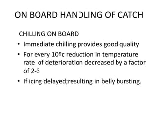 ON BOARD HANDLING OF CATCH
CHILLING ON BOARD
• Immediate chilling provides good quality
• For every 10ºc reduction in temperature
rate of deterioration decreased by a factor
of 2-3
• If icing delayed;resulting in belly bursting.
 