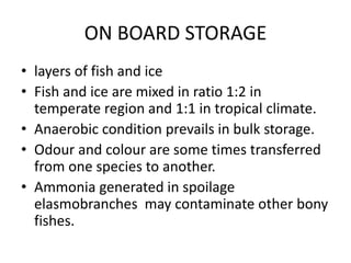 ON BOARD STORAGE
• layers of fish and ice
• Fish and ice are mixed in ratio 1:2 in
temperate region and 1:1 in tropical climate.
• Anaerobic condition prevails in bulk storage.
• Odour and colour are some times transferred
from one species to another.
• Ammonia generated in spoilage
elasmobranches may contaminate other bony
fishes.
 