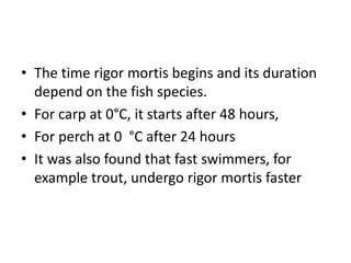 • The time rigor mortis begins and its duration
depend on the fish species.
• For carp at 0°C, it starts after 48 hours,
• For perch at 0 °C after 24 hours
• It was also found that fast swimmers, for
example trout, undergo rigor mortis faster
 