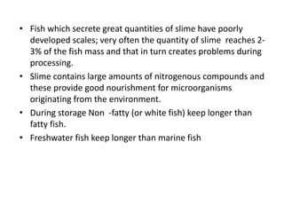 • Fish which secrete great quantities of slime have poorly
developed scales; very often the quantity of slime reaches 2-
3% of the fish mass and that in turn creates problems during
processing.
• Slime contains large amounts of nitrogenous compounds and
these provide good nourishment for microorganisms
originating from the environment.
• During storage Non -fatty (or white fish) keep longer than
fatty fish.
• Freshwater fish keep longer than marine fish
 