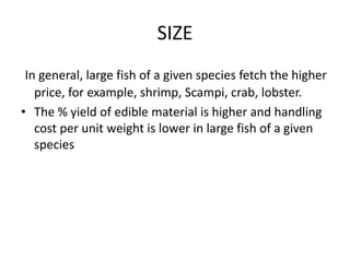 SIZE
In general, large fish of a given species fetch the higher
price, for example, shrimp, Scampi, crab, lobster.
• The % yield of edible material is higher and handling
cost per unit weight is lower in large fish of a given
species
 